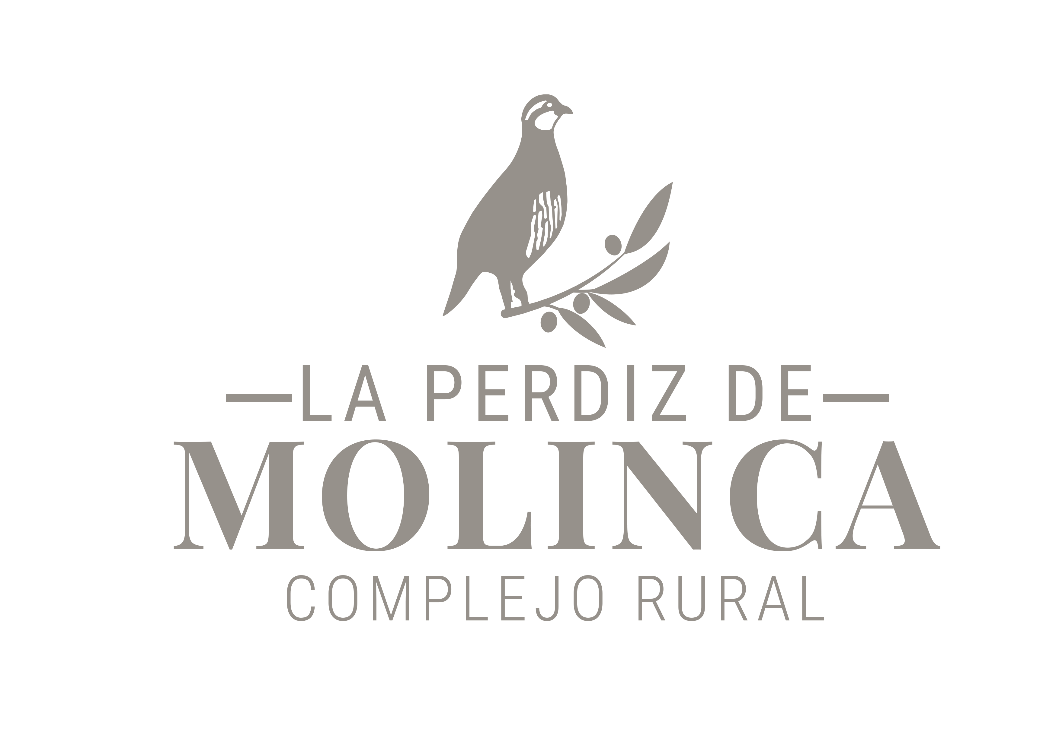 La Perdiz de Molinca